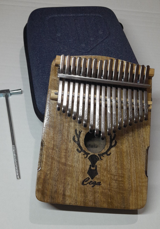 کالیمبا سگا گردو همراه هارد کیس cega kalimba