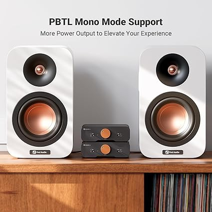 پری امپ مونو استریو fosi audio za3 Fosi Audio ZA3 Balanced Stereo Amplifier Home Audio