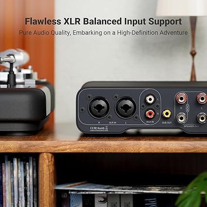 پری امپ مونو استریو fosi audio za3 Fosi Audio ZA3 Balanced Stereo Amplifier Home Audio