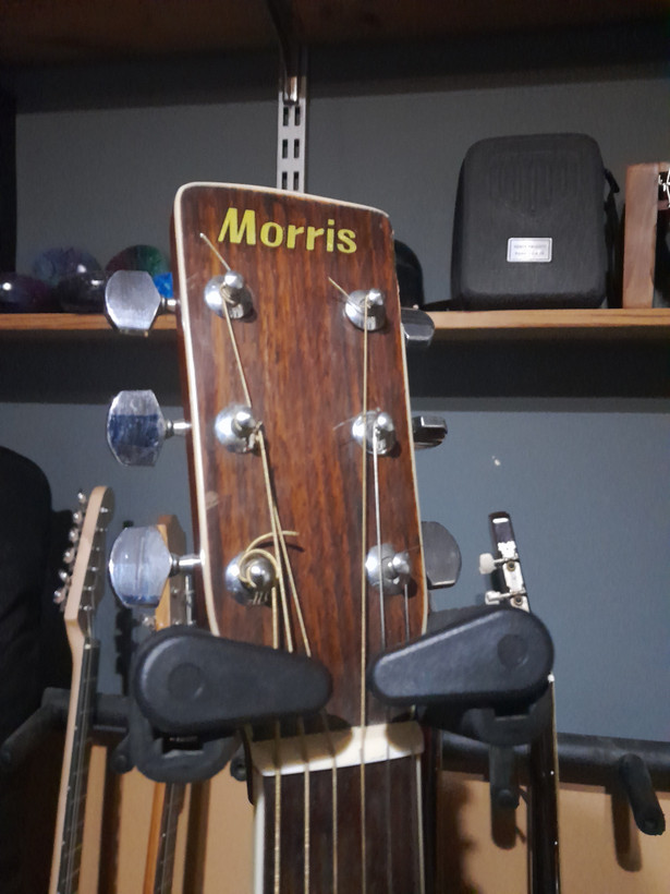 گیتار آکوستیک Morris W25 – ساخت ژاپن (استوک)