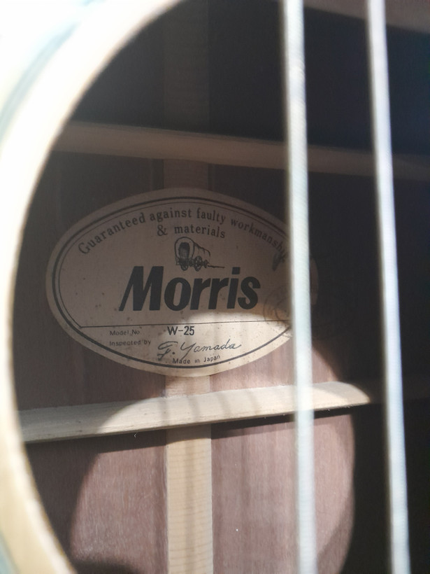 گیتار آکوستیک Morris W25 – ساخت ژاپن (استوک)